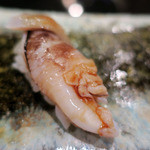 髙橋 謙太郎 - とり貝