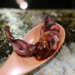 髙橋 謙太郎 - 蛍烏賊の一夜干し