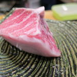 髙橋 謙太郎 - カマトロ