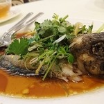 海徳花園酒家 - 白身魚