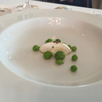 Benoit Alain Ducasse - 