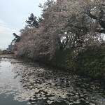 BOULANGERIE  Four - 弘前城の堀と桜