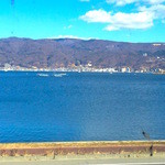 山ぼたん - 店内