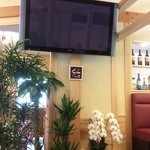 森のpizza Lodge - 店内_2016年5月