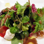 ジャンカルド - antipasto～本日のインサラータ