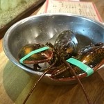 シュリンプシュリンプ 裏なんば店 - 