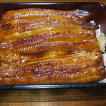 活鰻の店 つぐみ庵 - 鰻重