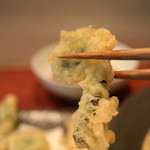 手打ち蕎麦 やの志ん - ”こごみ”の天婦羅