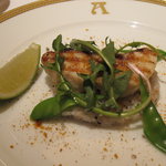 アピシウス - 鱸のグリエ　クロ・コ・セル風