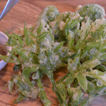 ダダダ - 2016/05/07：たらの芽とこごみのフリット