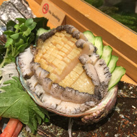 すし屋のさい藤 札幌本店 - 鮑大好き