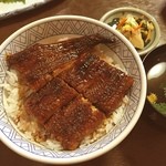 うな秀 - うなぎ丼