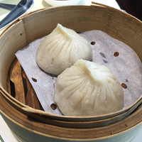 潮夢来 - 