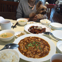 潮夢来 - 