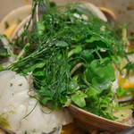 トラットリア フラテッリ ガッルーラ - 三河産の桜鯛・浅利・鬼浅利と蛤　フェンネルと天然クレソン　香草の香るチュピンリグーリア風アップ