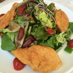 バックフーンサラダ
          やわらかチキン♪