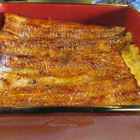 鰻割烹 伊豆栄 本店 - 竹