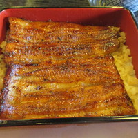 鰻割烹 伊豆栄 本店 - 竹　
