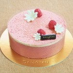 ダロワイヨ - '16.05 母の日限定ケーキ