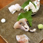 土と青 - お造り