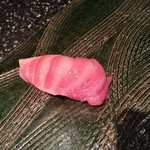 鮨割烹　ふくおか - 大トロ♪