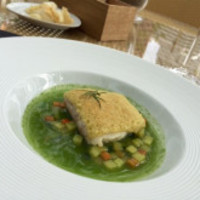 TRATTORIA CREATTA - 