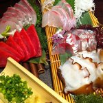 九州名物とめ手羽 - 長浜直送!!鮮魚の刺盛り!!