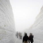 味覚コーナー - 雪の回廊
            