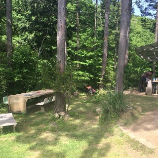 子供可 真岡 益子でランチに使えるお店 ランキング 食べログ