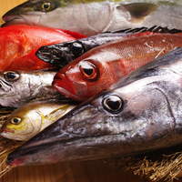 銀座 魚ばか ウオバカ 銀座一丁目 魚介料理 海鮮料理 ネット予約可 食べログ