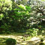 竹情荘 - 中庭(2016.04)