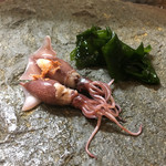 鮨松榮 - 富山産ホタルイカ