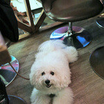 Rue Favart - いつも、お水ありがとう〜♬