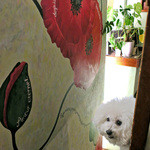 Rue Favart - 年季の入った木の階段です