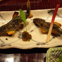 日本料理 とくを - 