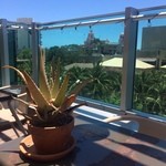 Buho Cocina Y Cantina - 屋上