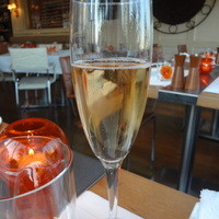Benoit Alain Ducasse - 