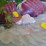 海鮮居酒屋　寿寿 - 刺身盛り合わせ　岩手県産鰹　常磐沖ひらめの作り