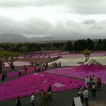 ふじさん - 富士芝桜まつり♪展望台からの景色★富士山がわずかに見えます！