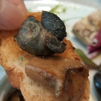 キャトルラパン - 