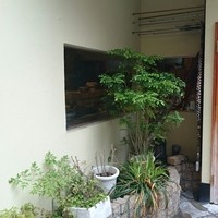 板前心 菊うら - 