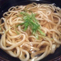 自家製粉石臼挽きうどん 青空blue 本店 - 2016・05細めのしっかり系、お出汁が美味しい！