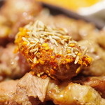 Chuugokuryouri Kyoumon - 羊肉片
