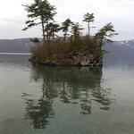 神田川 - 十和田湖に浮かぶ火山岩
            岩の上に木が育つ！