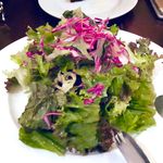 お野菜たっぷりのサラダ