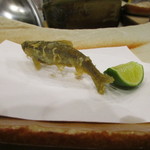 秋田 てんぷら みかわ