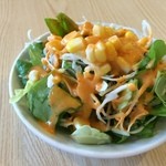 ラズマハル - 201605 クリスナ ★ランチ（680円）★サラダ