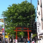 あかぎカフェ - <'16/05/05撮影>新緑で快晴の赤木神社の風景です