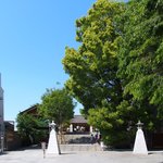 あかぎカフェ - <'16/05/05撮影>新緑で快晴の赤木神社の風景です