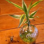 なかなか - ちゃんと動きます